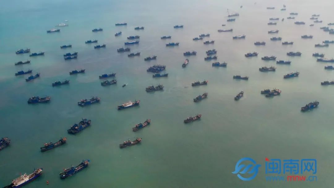 开海啦！泉州千帆竞发 争“鲜”出海